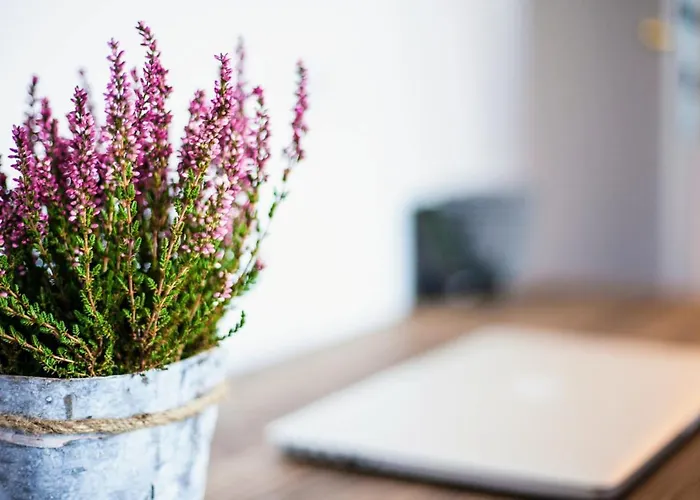 Apartman Barbara Gdańsk